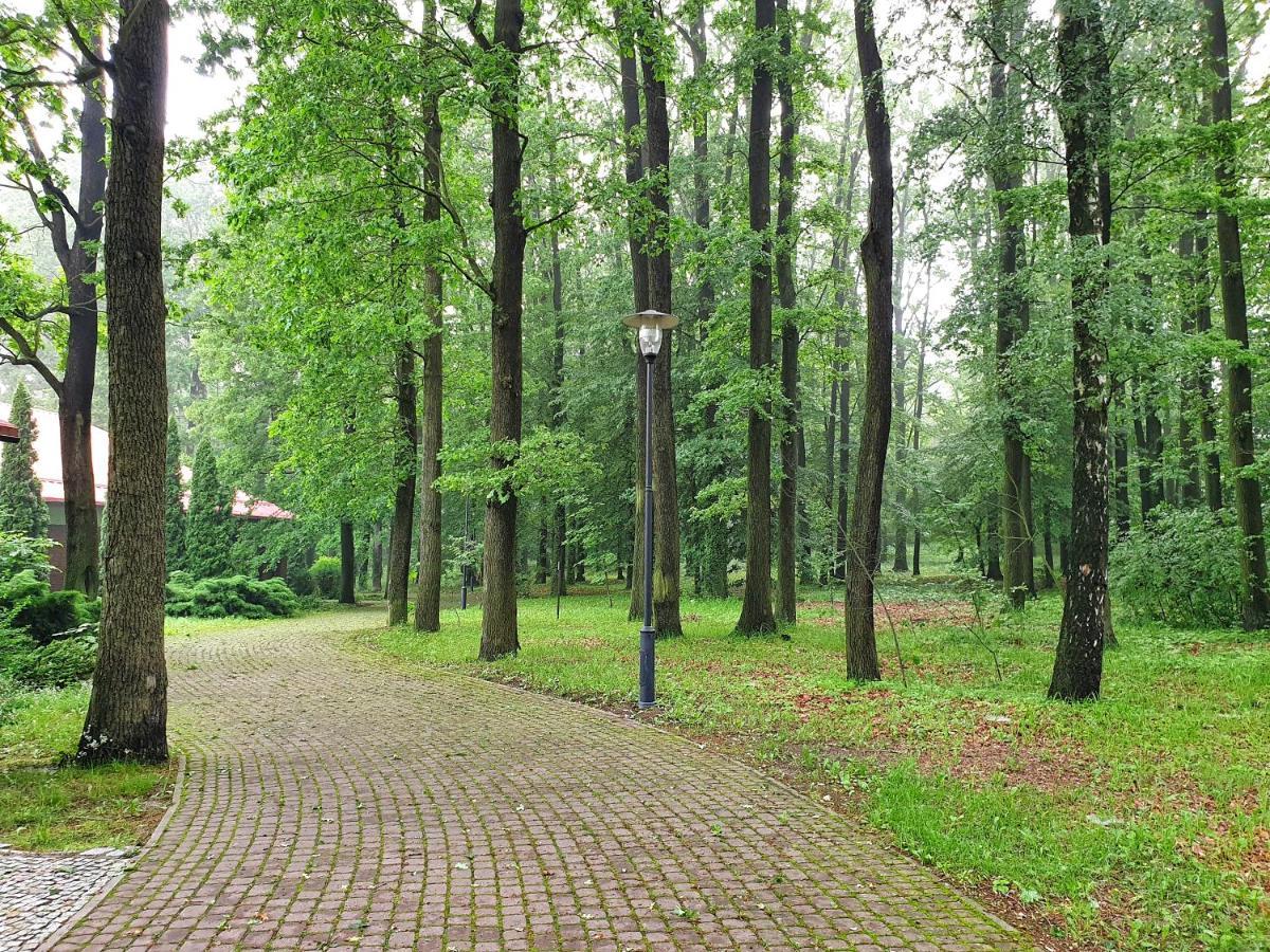 Stacja Nowa Gdynia Bed & Breakfast Aquapark Zgierz Ngoại thất bức ảnh
