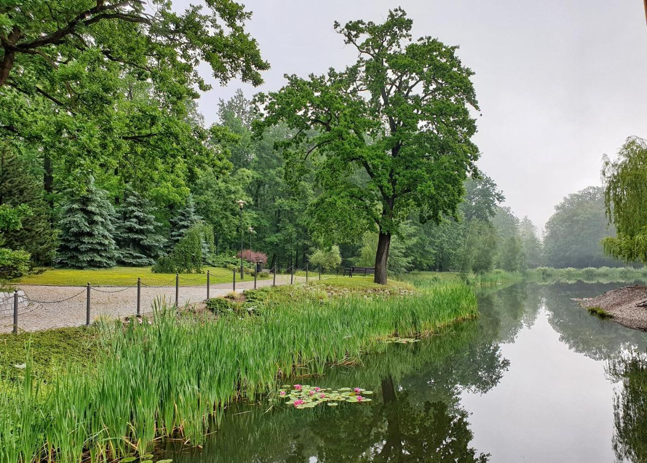 Stacja Nowa Gdynia Bed & Breakfast Aquapark Zgierz Ngoại thất bức ảnh