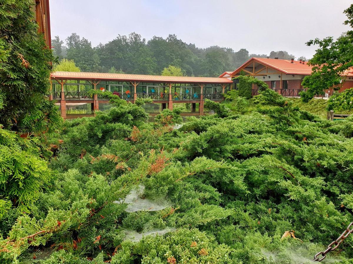 Stacja Nowa Gdynia Bed & Breakfast Aquapark Zgierz Ngoại thất bức ảnh