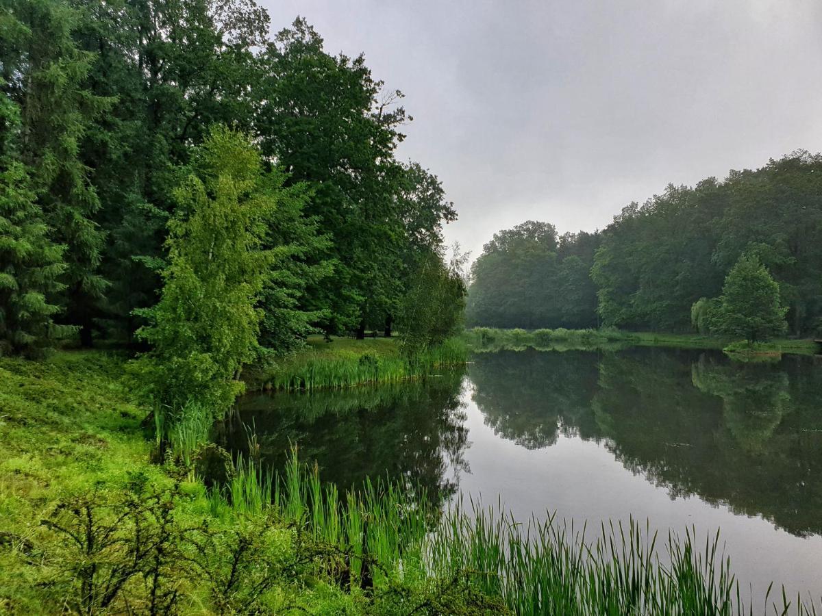 Stacja Nowa Gdynia Bed & Breakfast Aquapark Zgierz Ngoại thất bức ảnh