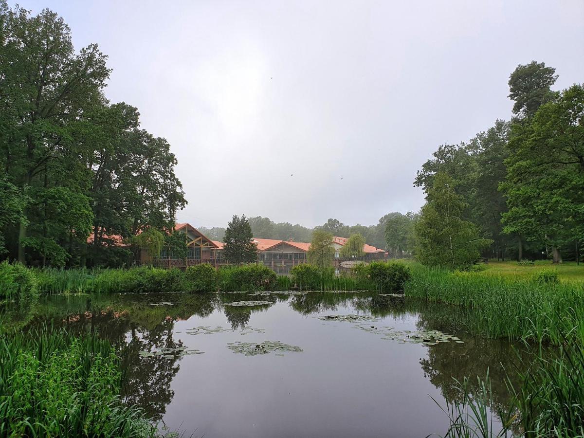 Stacja Nowa Gdynia Bed & Breakfast Aquapark Zgierz Ngoại thất bức ảnh